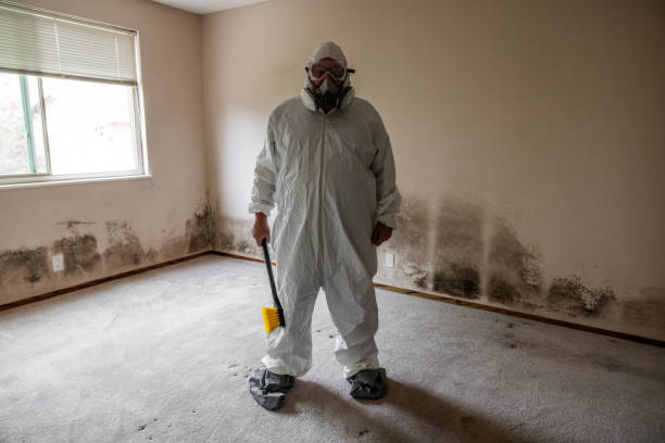 Best Mold Damage Repair  in Albertville, MN